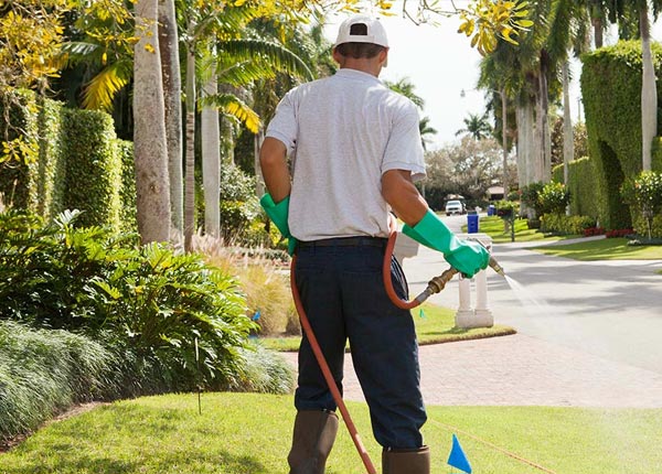 About Manchester PA Pest Control Pros